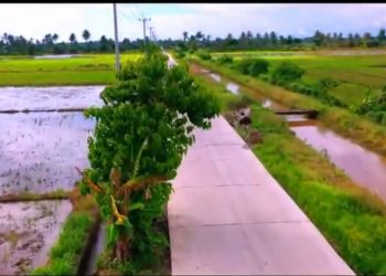 Dinas Bimacipta Pinrang