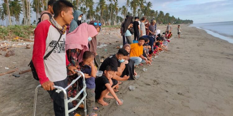 Pemuda Peduli Pelestarian Penyu di Wilayah Kabupaten Pinrang