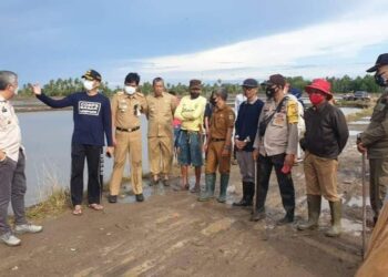 Bupati Pinrang Lakukan Kunjungan Kerja ke Area Persawahan  Kecamatan  Mattiro Bulu
