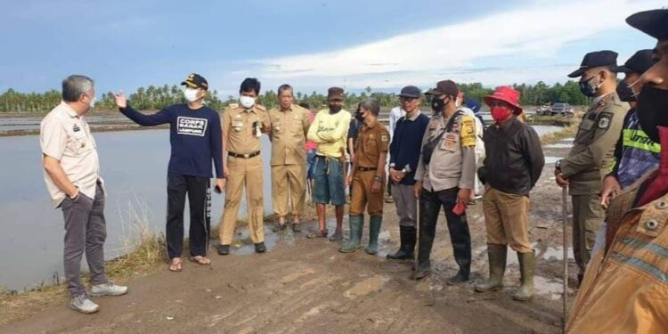 Bupati Pinrang Lakukan Kunjungan Kerja ke Area Persawahan  Kecamatan  Mattiro Bulu