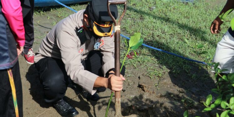 Kapolres Pinrang Pimpin Langsung Bakti Sosial Penanaman Mangrove Di Pantai Ammani