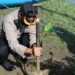 Kapolres Pinrang Pimpin Langsung Bakti Sosial Penanaman Mangrove Di Pantai Ammani