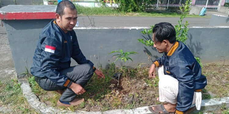 Dewan Pengurus Daerah KNPI Kabupaten Pinrang Gelar Kegiatan Penanaman Pohon