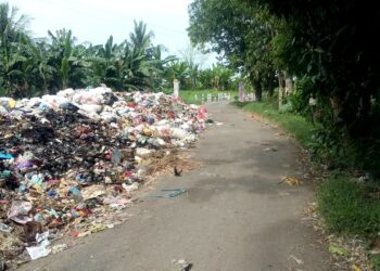 Badan Lingkungan Hidup Pemuda Pancasila Pinrang Soroti Sampah di Badan Jalan Maroneng