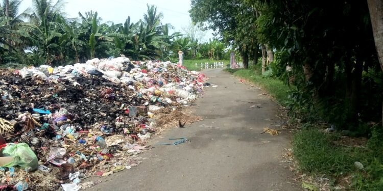 Badan Lingkungan Hidup Pemuda Pancasila Pinrang Soroti Sampah di Badan Jalan Maroneng