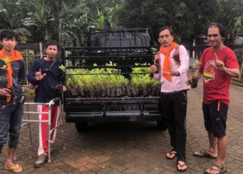 Jaga Kelestarian Lingkungan Pemuda Pinrang Jemput Langsung Bibit di Maros