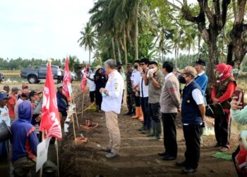 Bupati Pinrang Turun Bersama Masyarakat Dalam Pengendalian Hama Tikus di Kecamatan Tiroang