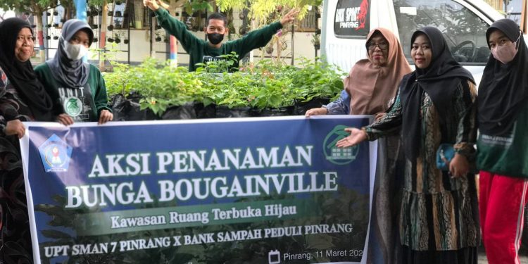 Penanaman Bougenville, Bank Sampah Peduli Pinrang Unit Warani UPT SMA 7 Pinrang.