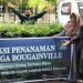 Penanaman Bougenville, Bank Sampah Peduli Pinrang Unit Warani UPT SMA 7 Pinrang.