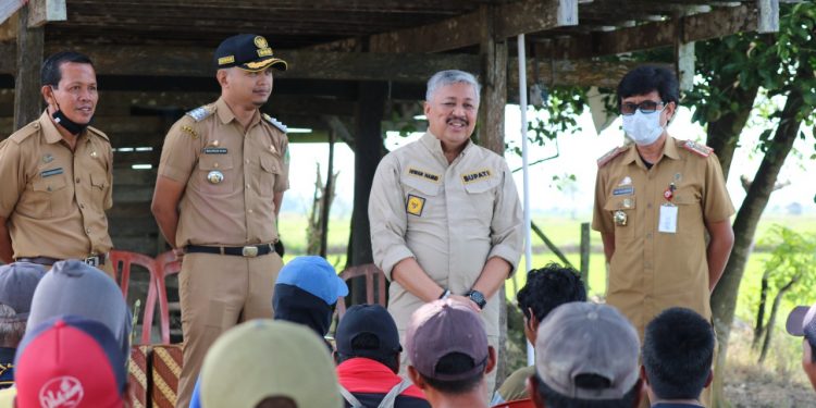 Bupati Pinrang Turun Langsung Berdialog Dengan Para Petani di Kecamatan Lanrisang