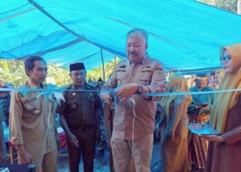 Bupati Pinrang Resmikan Poskesdes dan Posko PPKM di Desa Buttu Sawe