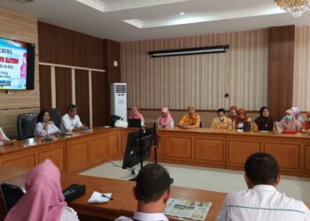 Dinas Kesehatan Kabupaten Pinrang Meluncurkan Inovasi Save Matneo Sebagai Layanan Bagi Ibu Hamil