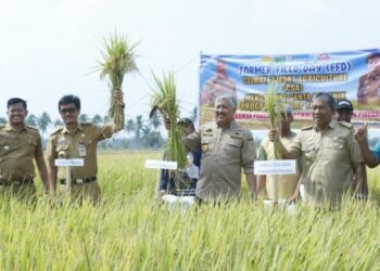 Bupati Pinrang Mengungkapkan Rasa Syukurnya karena Hasil Panen Masyarakat Petani Cukup Memuaskan