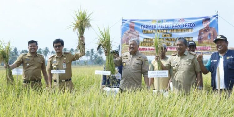 Bupati Pinrang Mengungkapkan Rasa Syukurnya karena Hasil Panen Masyarakat Petani Cukup Memuaskan