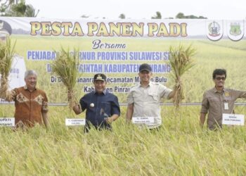 Pesta Panen di Kabupaten Pinrang Dihadiri Pj Gubernur Sulsel