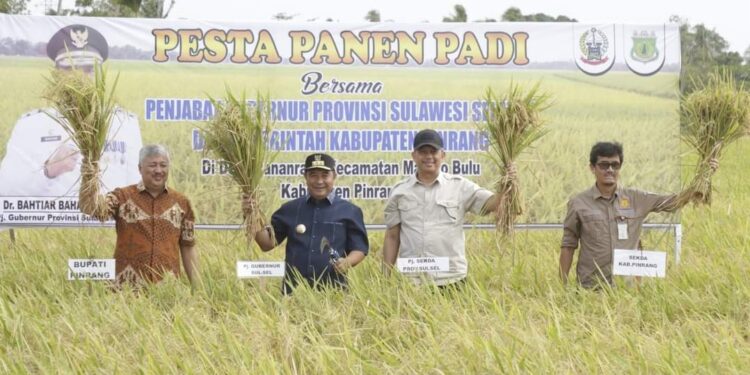 Pesta Panen di Kabupaten Pinrang Dihadiri Pj Gubernur Sulsel