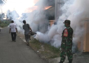 Antisipasi Penyebaran DBD Babinsa Koramil 1404-04/Paleteang, Dampingi Dinkes Lakukan Fogging dan Sosialisasi Kepada Warga