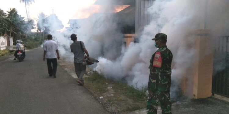 Antisipasi Penyebaran DBD Babinsa Koramil 1404-04/Paleteang, Dampingi Dinkes Lakukan Fogging dan Sosialisasi Kepada Warga