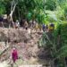 Ancaman Abrasi di Bababinanga Jadi Perhatian Serius Pemkab Pinrang