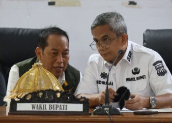 Pemkab Pinrang Matangkan Pembentukan Posyandu Era Baru Sebagai Layanan Terpadu Lintas Sektor
