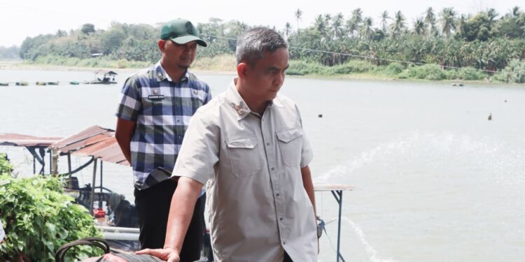 Wabup Sudirman Pompanisasi Langkah Serius Pemkab Pinrang Bantu Petani Hadapi Kemarau